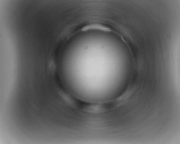 X0000113900086200910011351