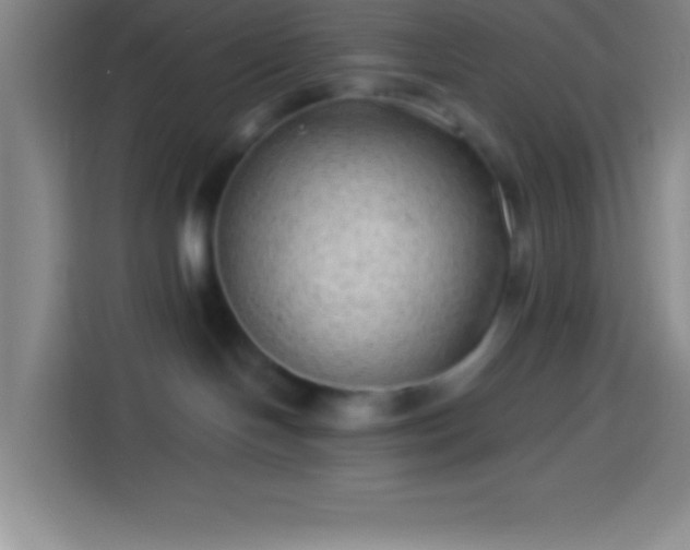 X0000113900094200910011351