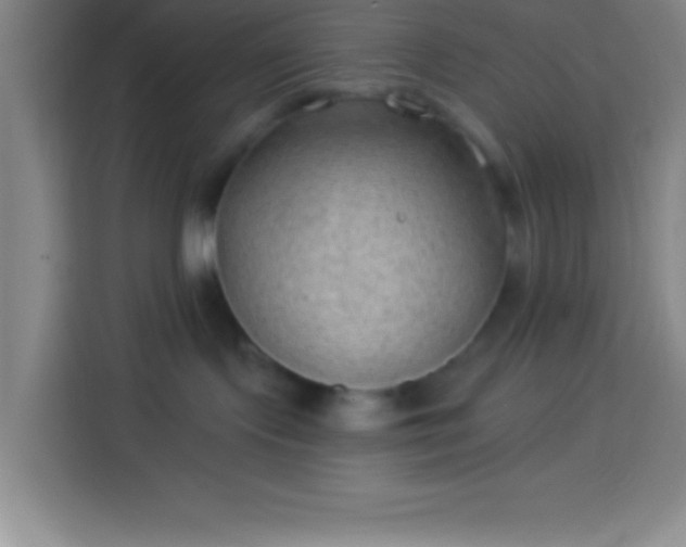 X0000113900095200910011351