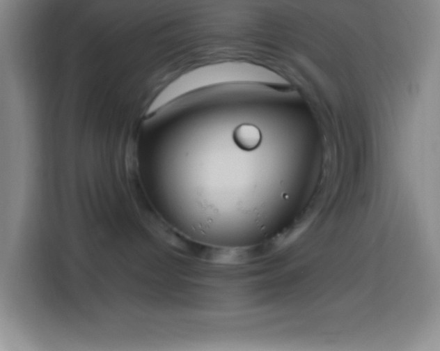 X0000113900096200910011351