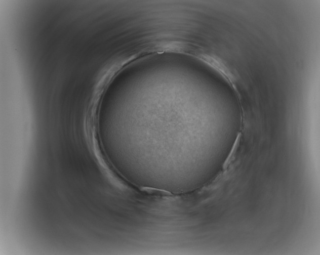 X0000113900097200910011351