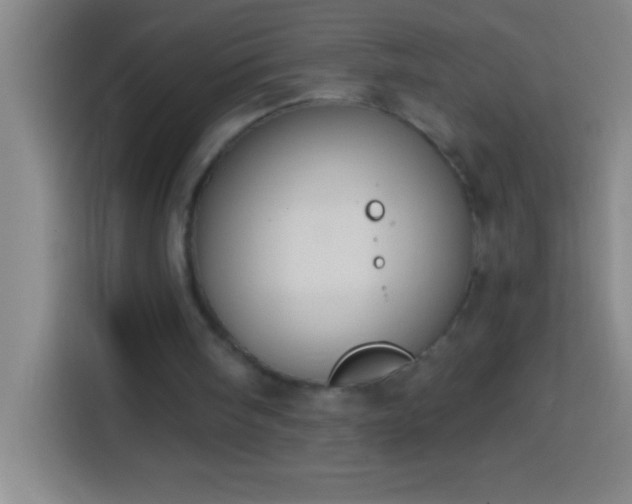 X0000113900098200910011351