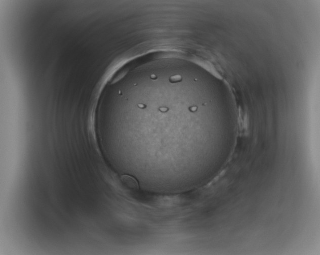 X0000113900099200910011351