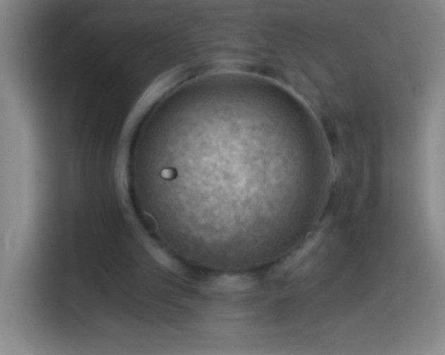 X0000113900101200910011351