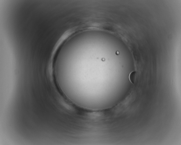 X0000113900102200910011351