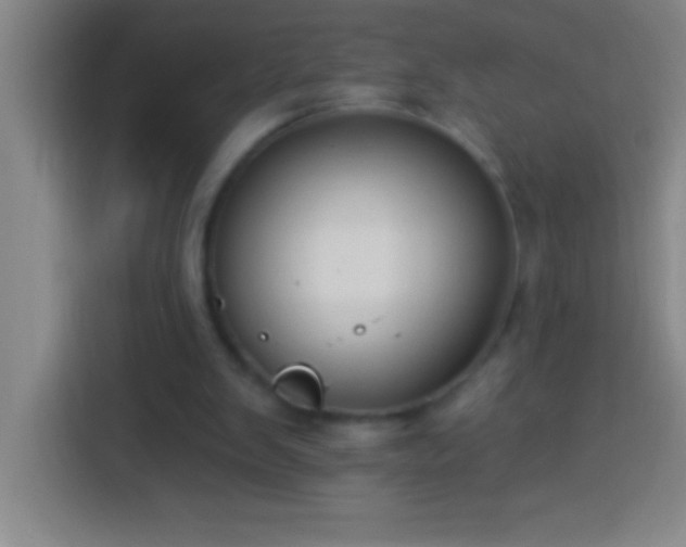 X0000113900103200910011351