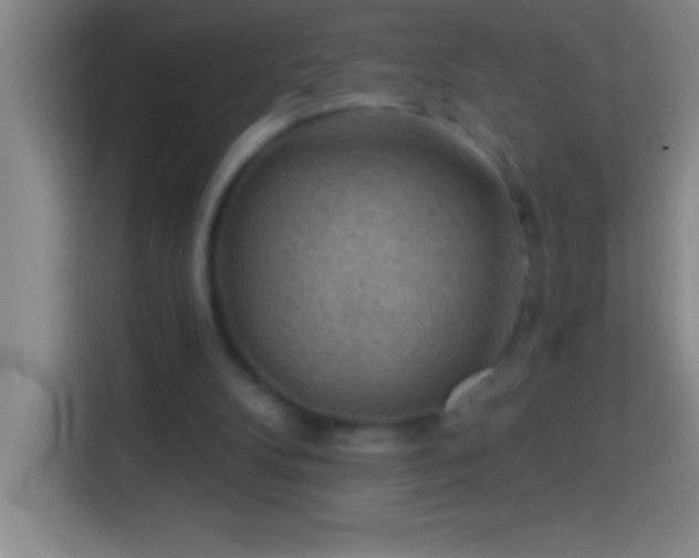 X0000113900104200910011350