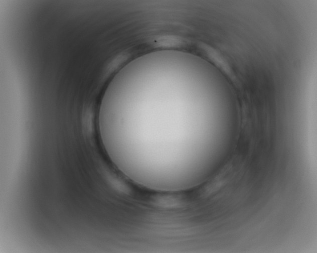 X0000113900106200910011350