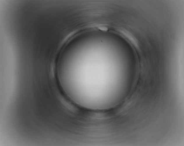 X0000113900107200910011350