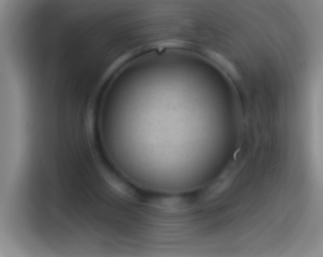 X0000113900108200910011350