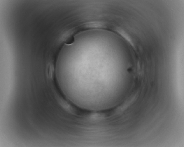 X0000113900109200910011350