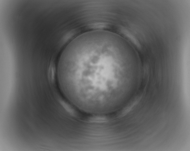 X0000113900110200910011350