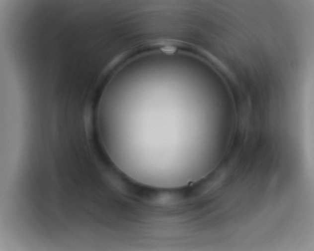 X0000113900111200910011350