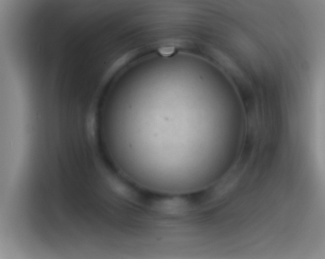 X0000113900112200910011350