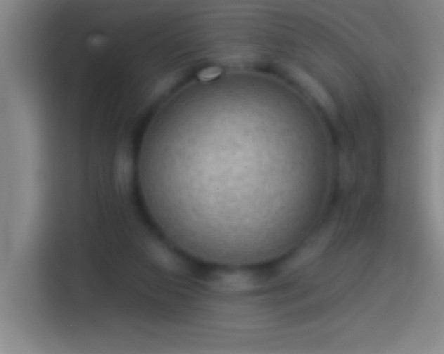 X0000113900113200910011350