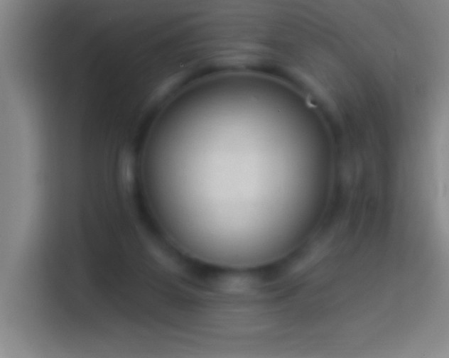 X0000113900115200910011350