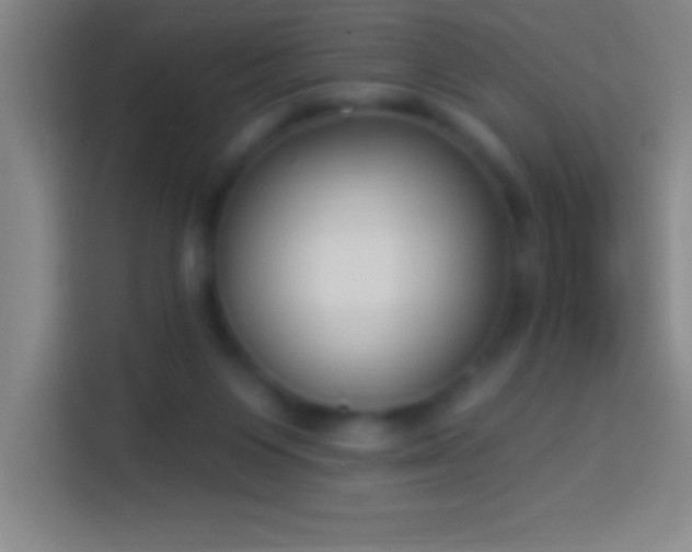 X0000113900119200910011350