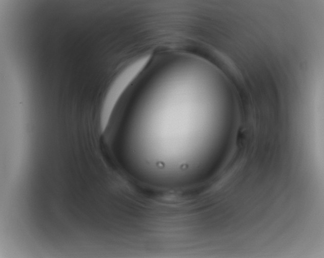 X0000113900121200910011350