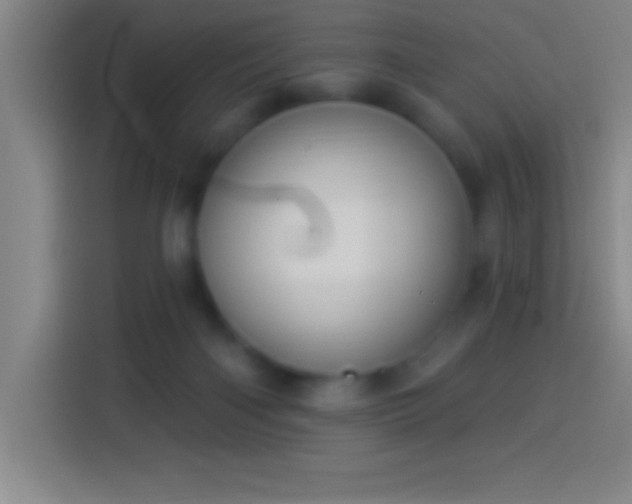 X0000113900122200910011350