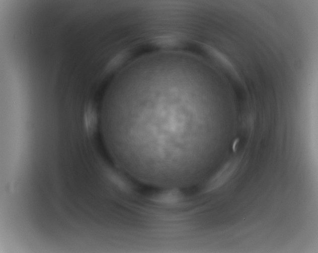 X0000113900124200910011350