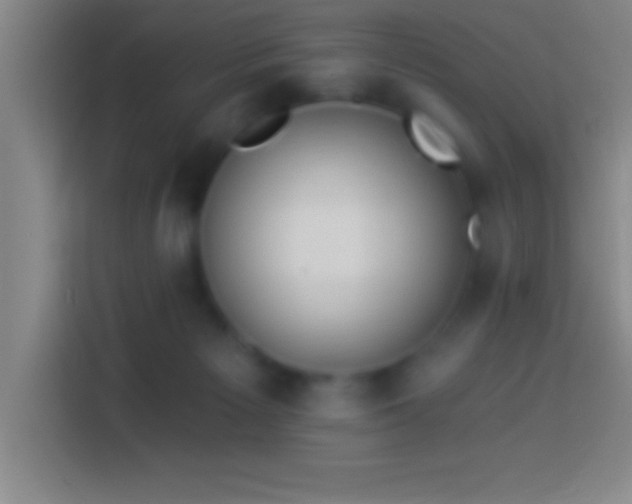 X0000113900125200910011350