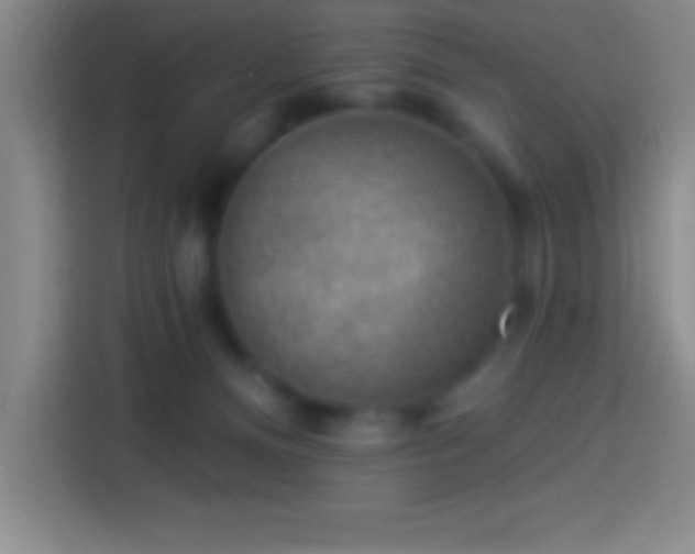 X0000113900128200910011350