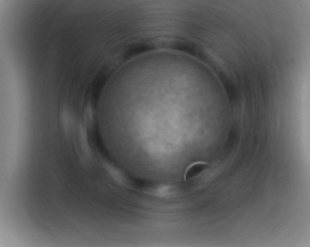 X0000113900130200910011350