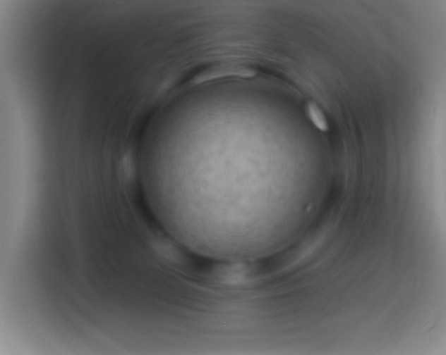 X0000113900131200910011350