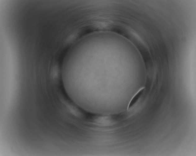 X0000113900132200910011350