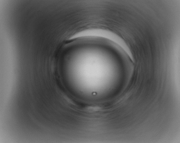 X0000113900133200910011350