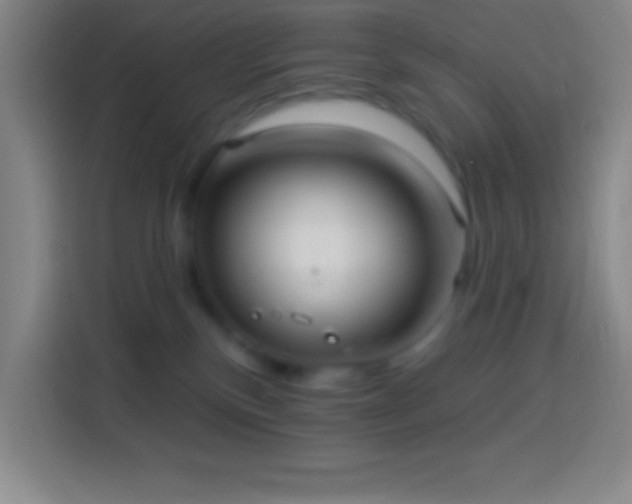 X0000113900136200910011350