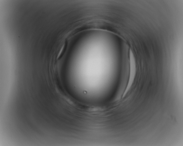 X0000113900137200910011350