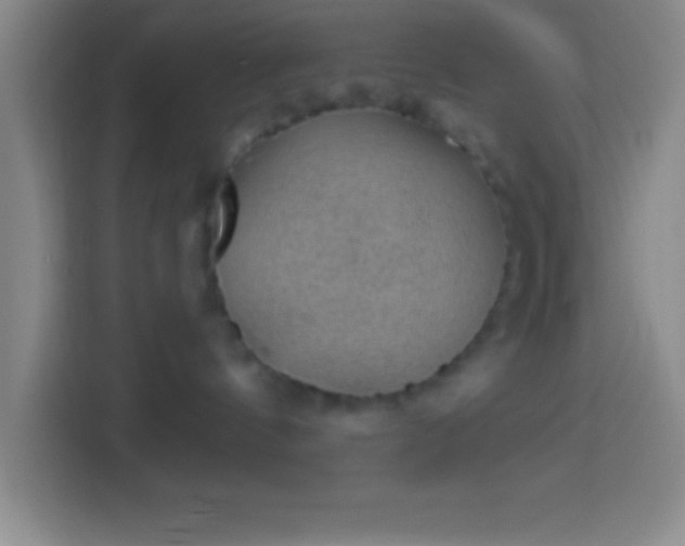 X0000113900144200910011350