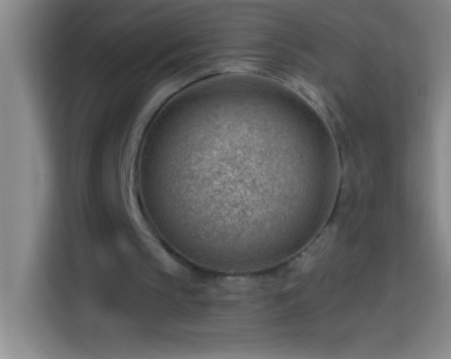 X0000113900145200910011349