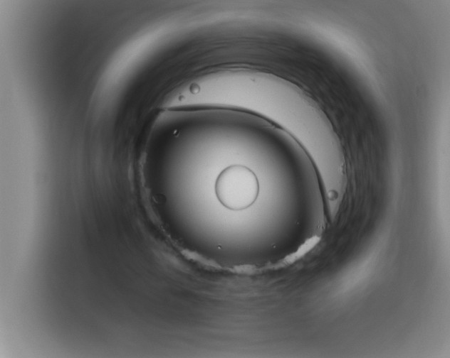 X0000113900146200910011349