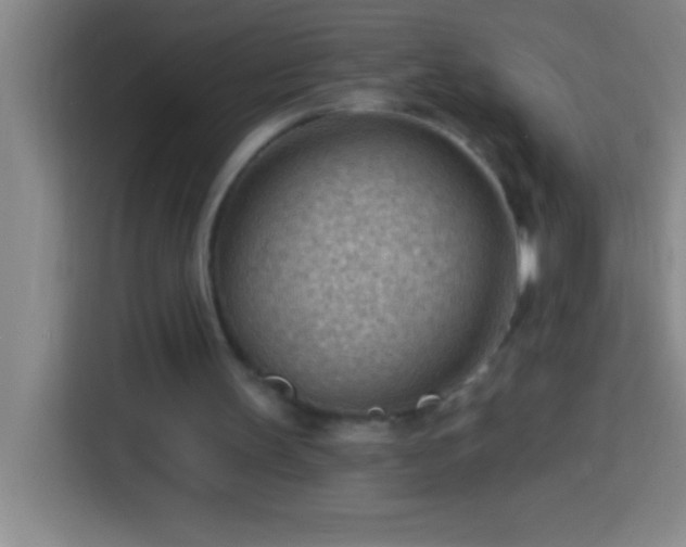 X0000113900147200910011349