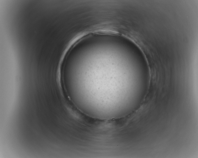 X0000113900148200910011349