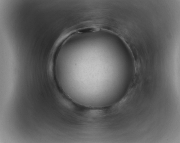 X0000113900150200910011349