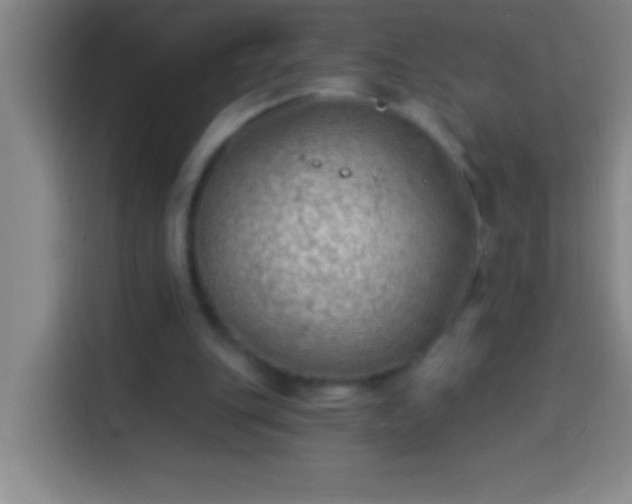 X0000113900151200910011349