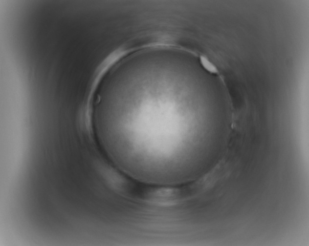 X0000113900152200910011349