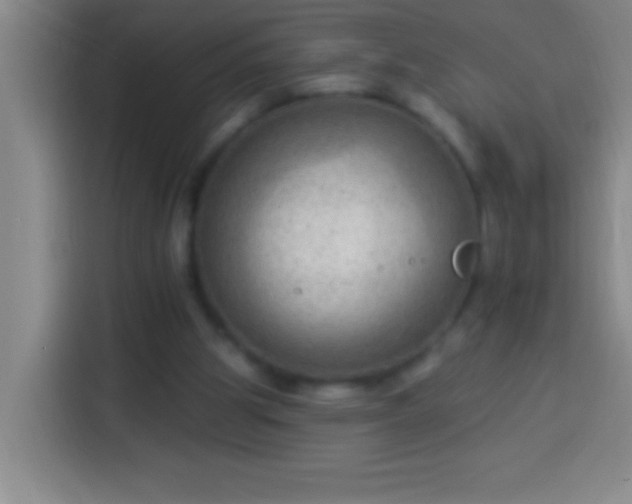 X0000113900153200910011349