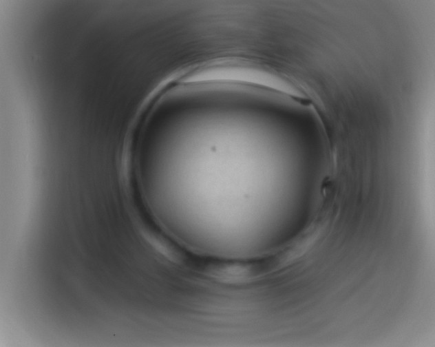 X0000113900156200910011350