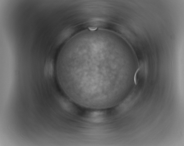 X0000113900158200910011350