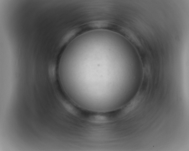 X0000113900159200910011350