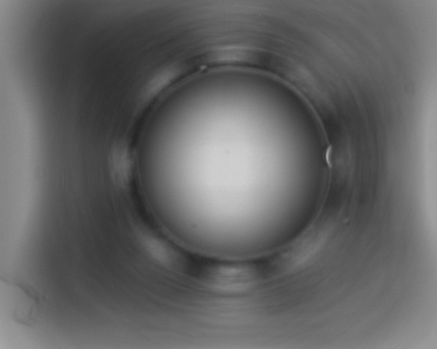 X0000113900160200910011350