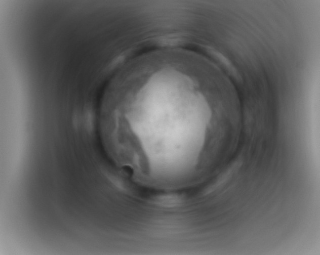 X0000113900161200910011350