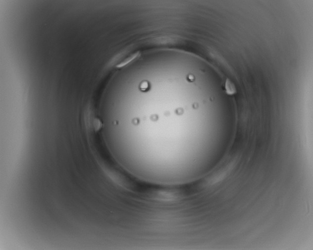 X0000113900164200910011350