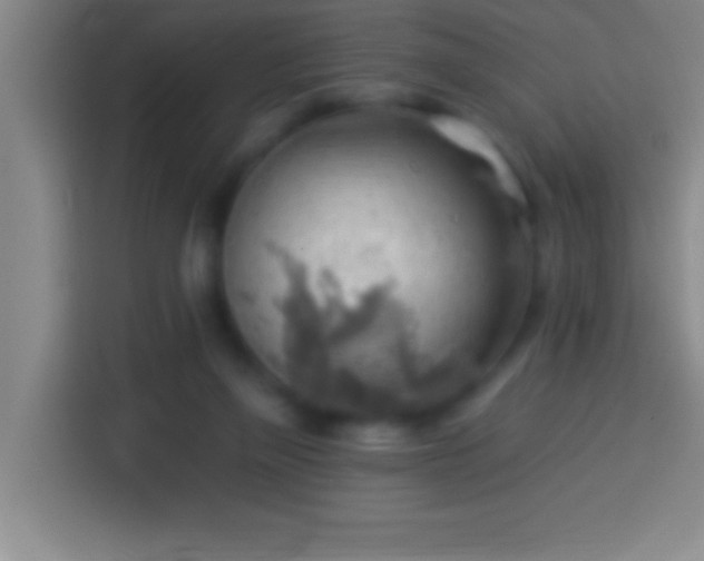 X0000113900165200910011350