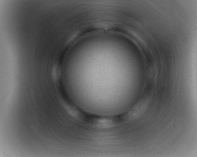 X0000113900168200910011350