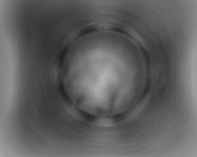 X0000113900169200910011350